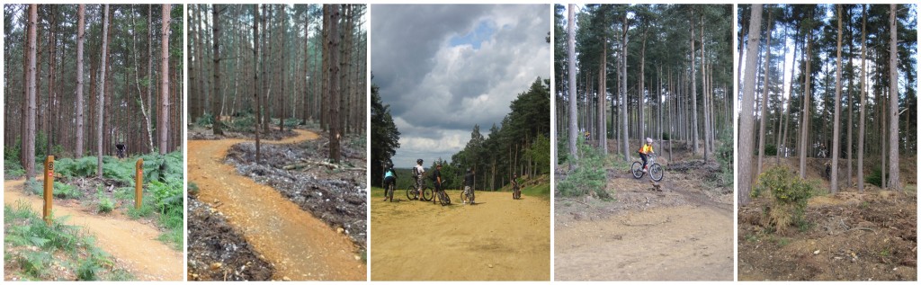 Swinley Forest "Lookout" MTB Ride @ Swinley Forest Lookout | England | United Kingdom