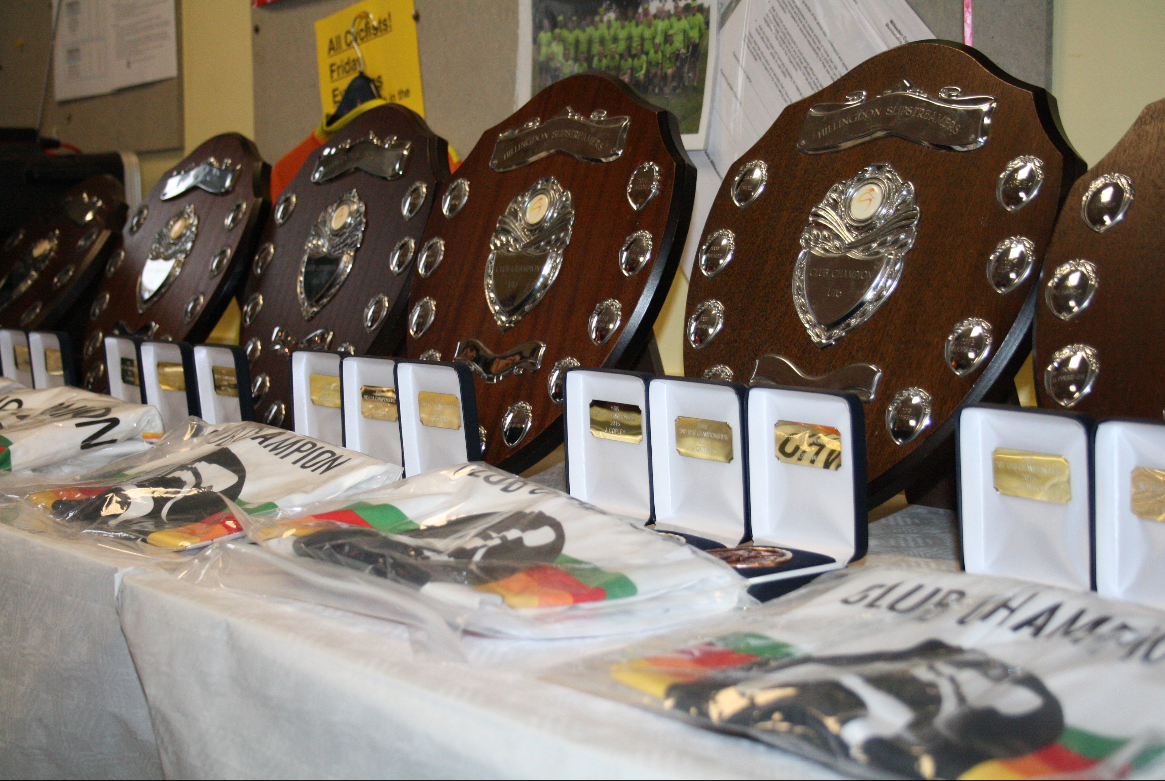 AwardsTrophies4